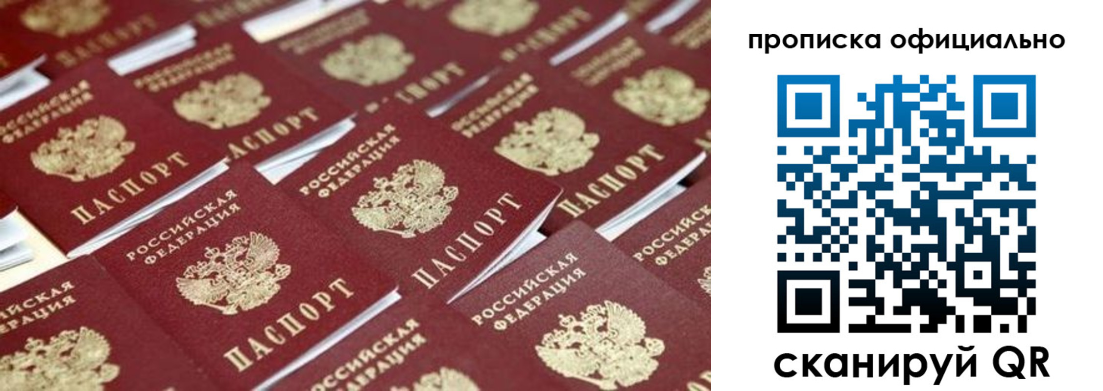 прописка гарантия в Камчатской области